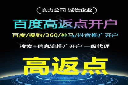 百度广告推广实战案例解析